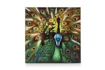 schilderij peacock pride 100 x 100 cm