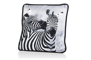 kussen zebra couple