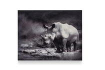foto op acryl rhino