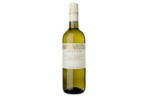 terra viva pinot grigio organic 