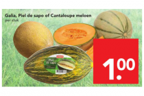 galia piel de sapo of cantaloupe meloen