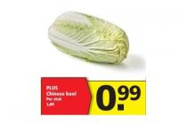 plus chinese kool