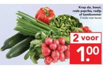 krop sla bosui rode paprika radijs of komkommer
