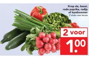 krop sla bosui rode paprika radijs of komkommer