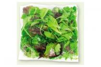ijsberg rucola mix