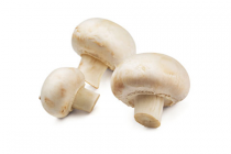 champignons