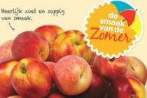 spaanse perziken of nectarines