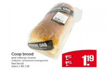 coop brood