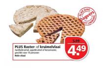 plus raster  of kruimelvlaai