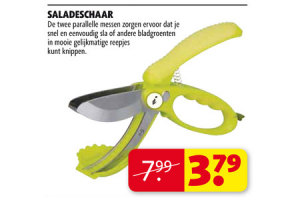 saladeschaar