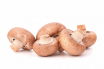 kastanjechampignons
