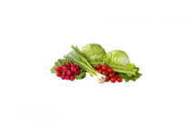 radijsjes bosuitjes bleekselderij cherrytomaatjes en ijsbergsla