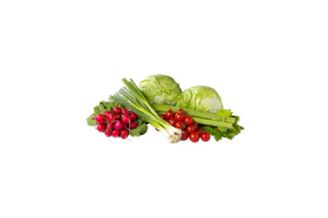 radijsjes bosuitjes bleekselderij cherrytomaatjes en ijsbergsla