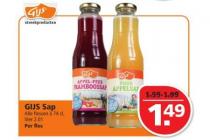 gijs sap
