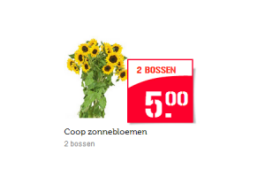 coop zonnebloemen