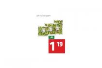 spar luxe slazakken