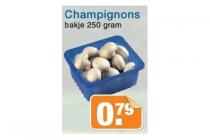 champignons