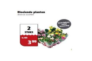 bloeiende planten