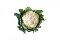 bloemkool