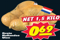 grote hollandse uien