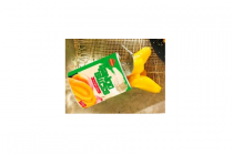 mango slices