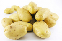 nicola aardappels