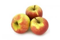 elstar appels