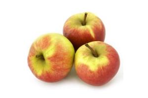 elstar appels