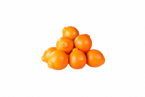 c1000 minneolas of grapefruit