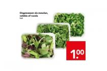 ongewassen sla mesclun veldsla of rucola