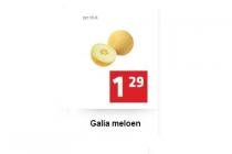 galia meloen