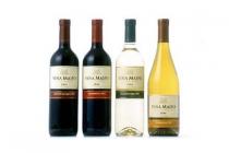 vina maipo