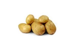 aardappelen