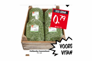 hollandse boerenkool