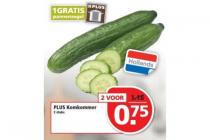 plus hollandse komkommer