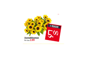 zonnebloemen