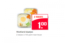 westland slaatjes