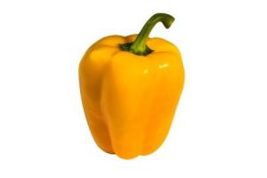 hollandse paprika