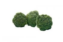hollandse brocolli