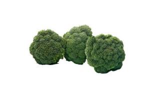 hollandse brocolli