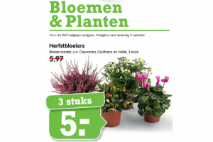 bloemen  planten herfstbloeiers