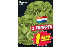 kropsla
