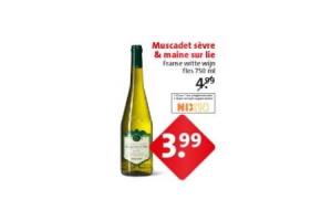 muscadet sevre  maine sur lie