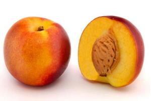 nectarines