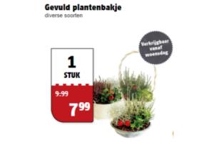 gevuld plantenbakje