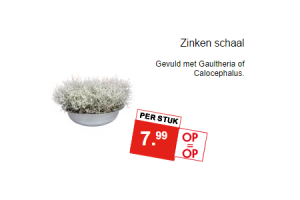 zinken schaal