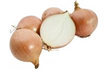 uien