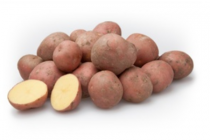 bildtstar aardappelen