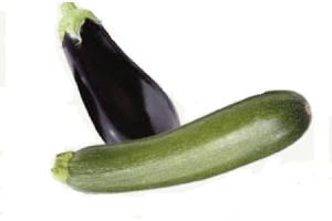 courgette of aubergine