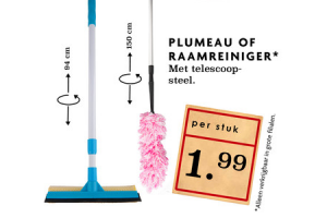 plumeau of raamreiniger